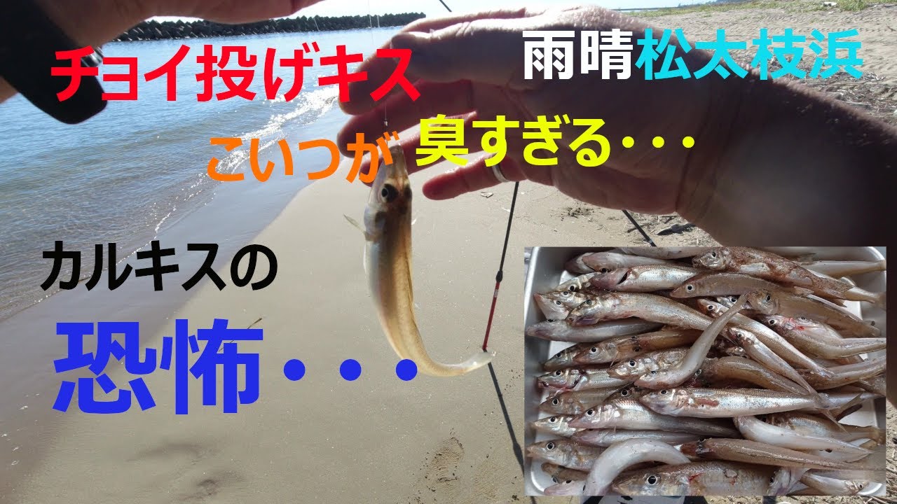 恐ろしく臭いカルキス　チョイ投げキス釣り
