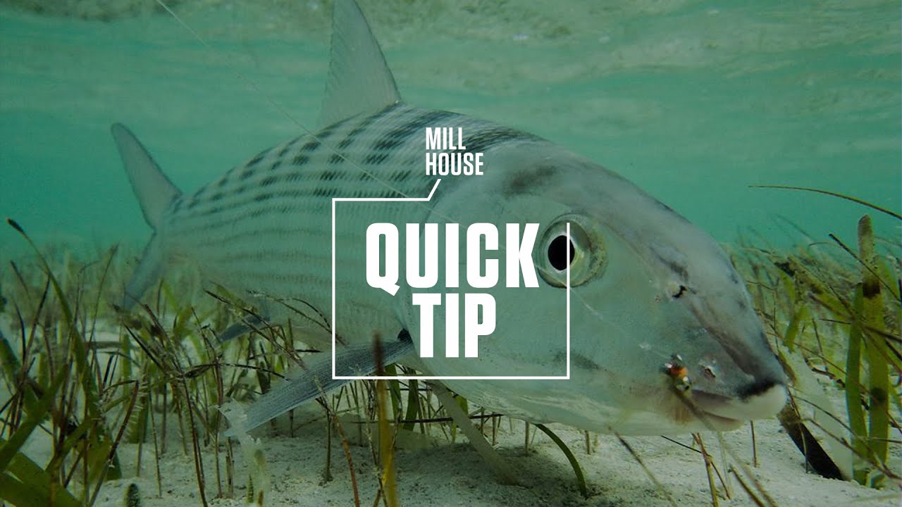 Quick Tip - How to Feed Big Bonefish | Mill House Podcast