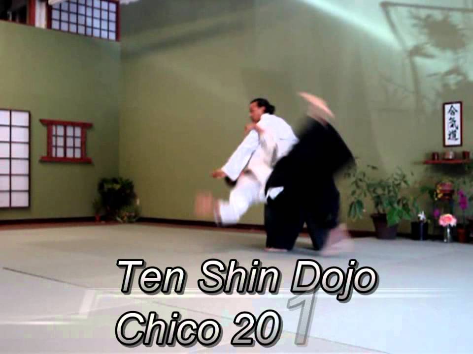 Ten Shin Dojo-Chico Aikido