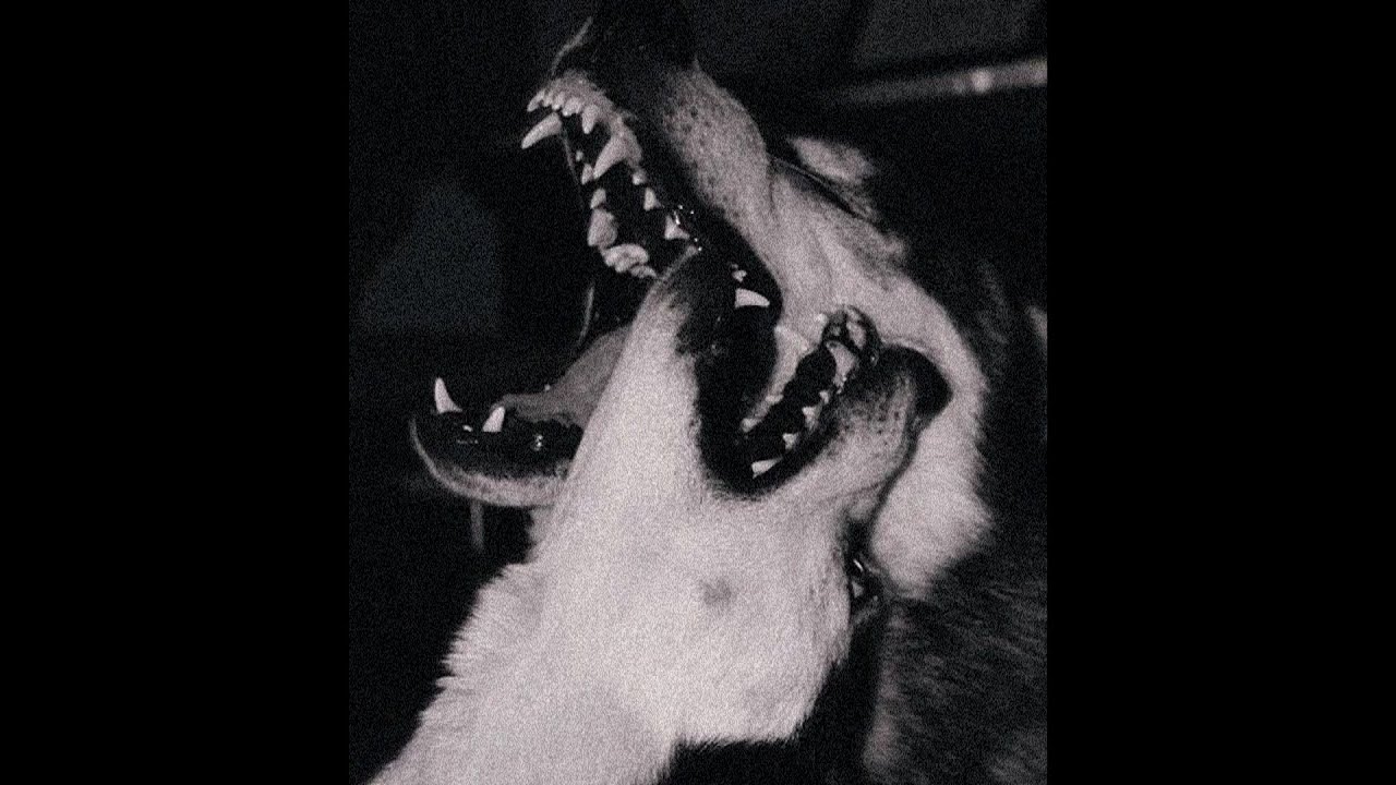 [FREE FOR PROFIT] ZILLAKAMI TYPE BEAT 