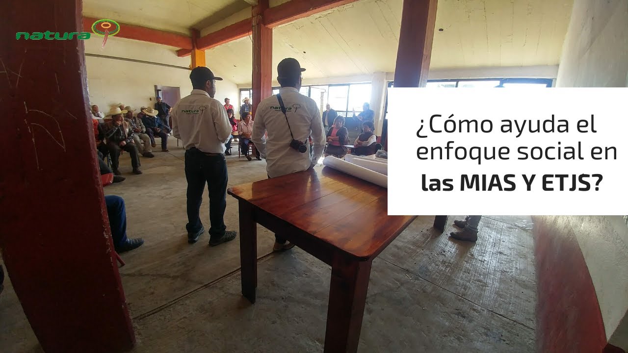 Cómo Ayuda un Enfoqué Social en las MIAS y ETJS