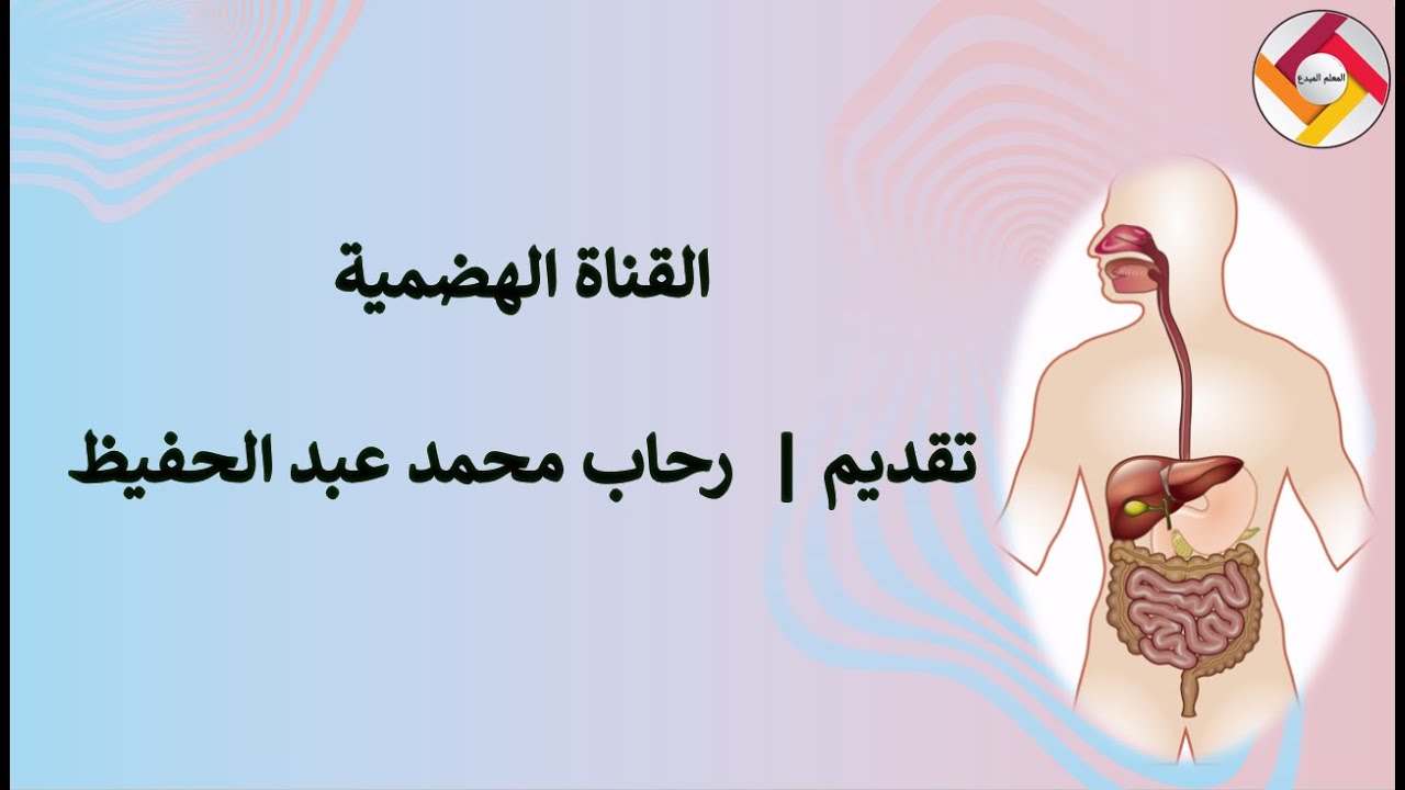 القناة الهضمية |أحياء الصف التاسع | قناة المعلم المبدع