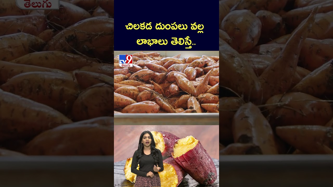 చిలకడ దుంపలు వల్ల లాభాలు తెలిస్తే.. | Sweet potato - TV9