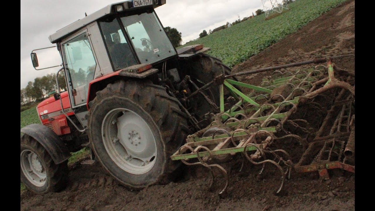 Jesienne prace z Massey Ferguson 3115