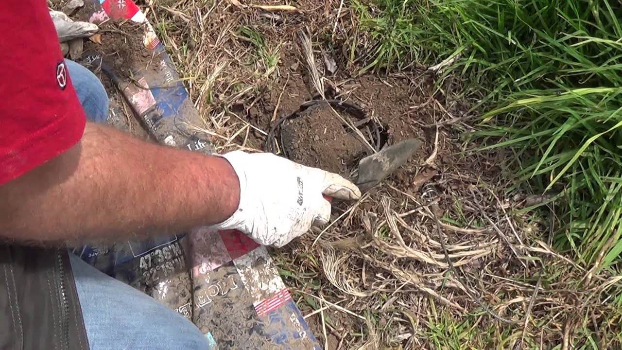 PROCESO DE COLOCACIÓN DE BELISLE TR 6