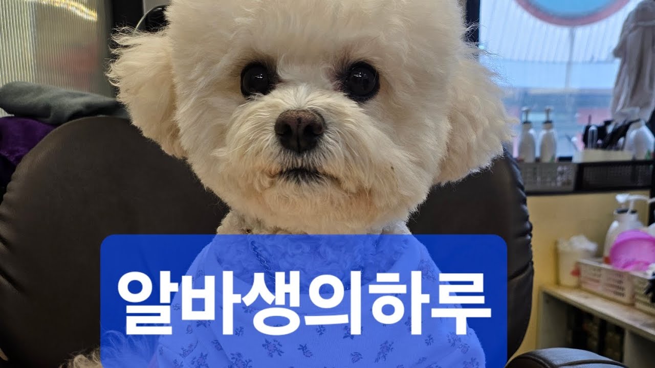 강디올의하루
