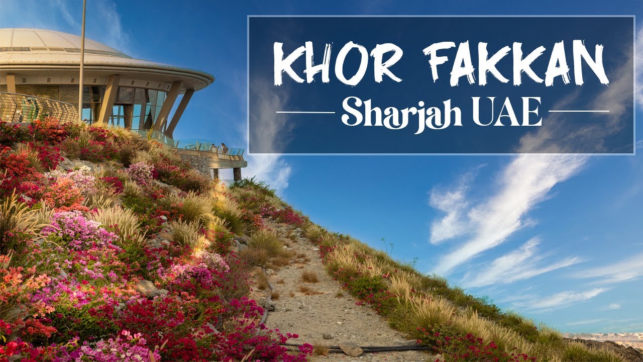 Exploring UAE's Hidden Gem: East of UAE  Khorfakkan Sharjah Adventure | Travel Vlog