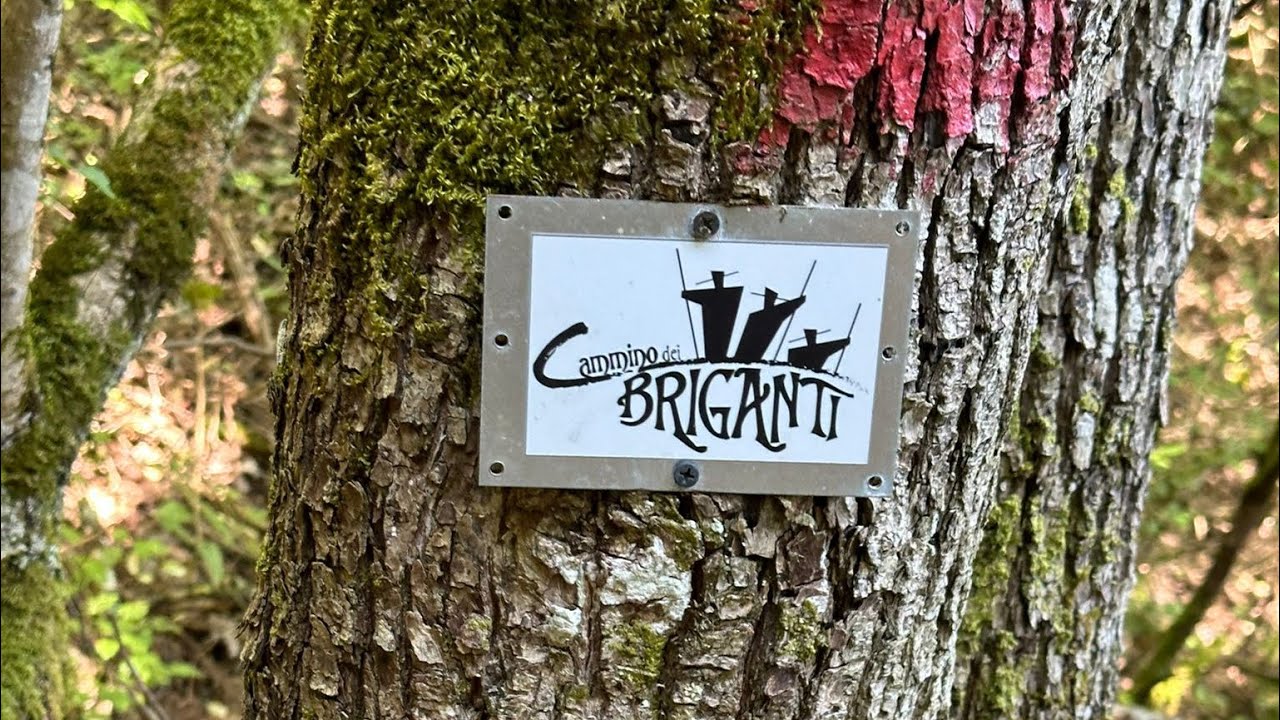 TOUR 2025 - IL CAMMINO DEI BRIGANTI - TORRETTABIKE  - versione Light