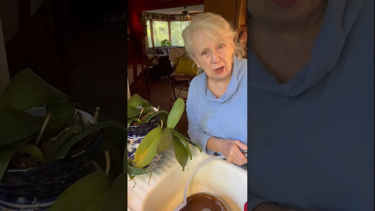 Saturday Fun | Cooking with Brenda Gantt