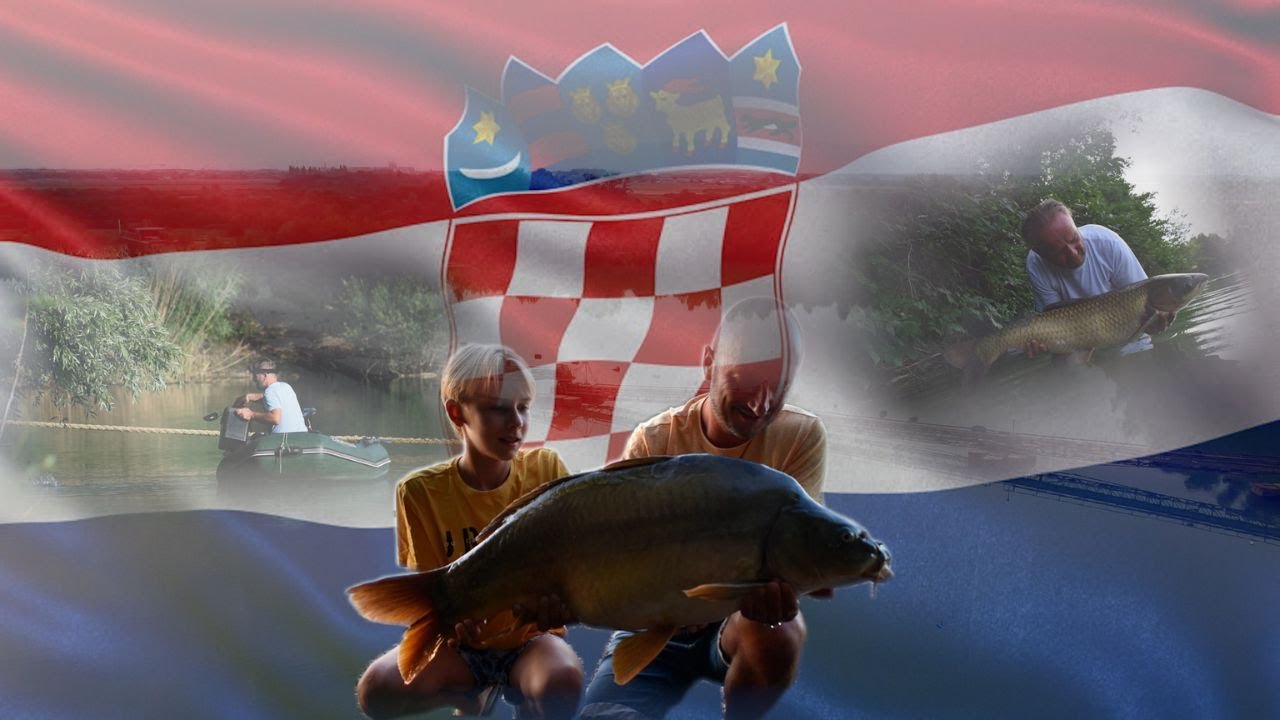 VUKOVINA - Karpie z chorwackiej żwirowni