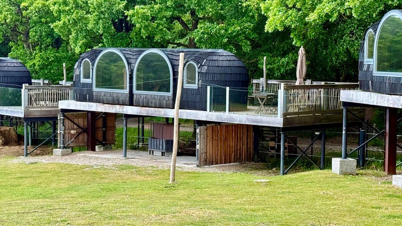 Bes&oslash;g i Ree Park Safari maj 2025