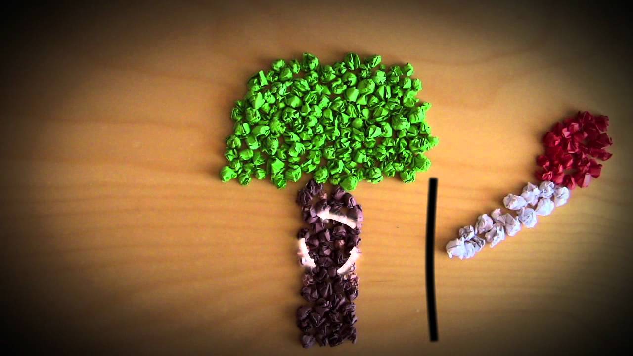 Saving The Environment