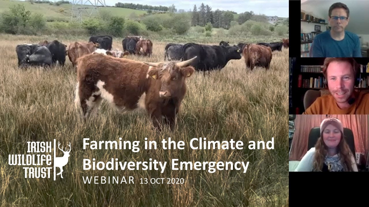 Farming in the Climate and Biodiversity Emergency