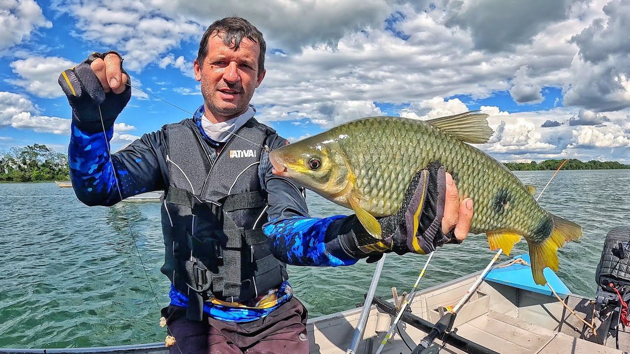 ACHAMOS UM POÇO CHEIO DE PIAPARAS NO RIO PARANÁ!! PESCARIA