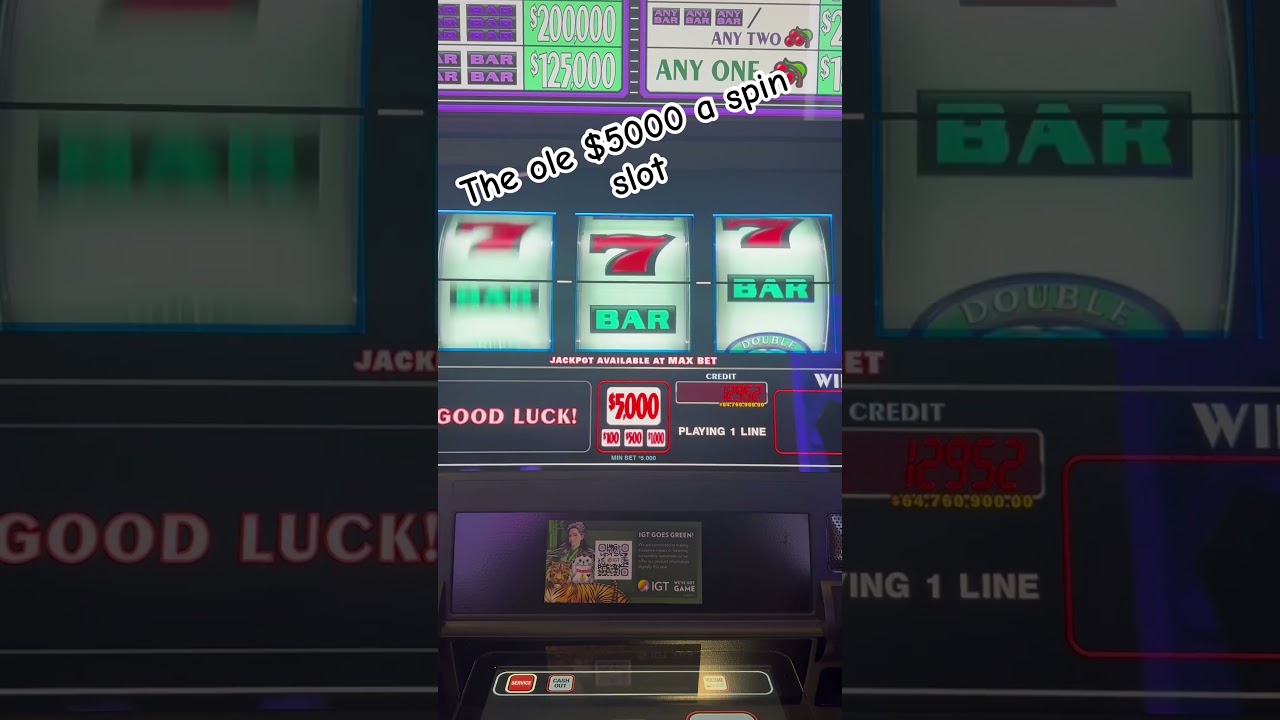 $5000 Dollars Per SPIN on Slot Machines and Got SHOCKING Results! Buffalobobap.com to learn to win