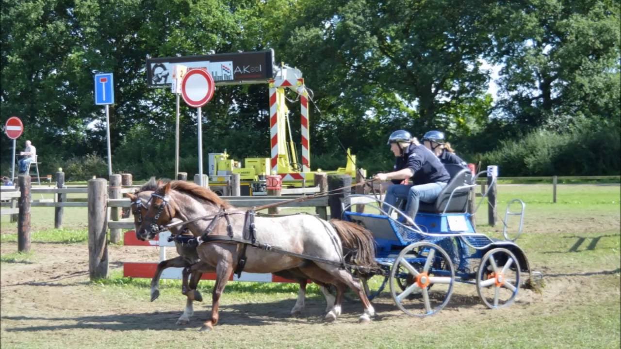 Woutera van de Kamp Winnaar Marathon NK Beesd 2016 tweespan Pony's