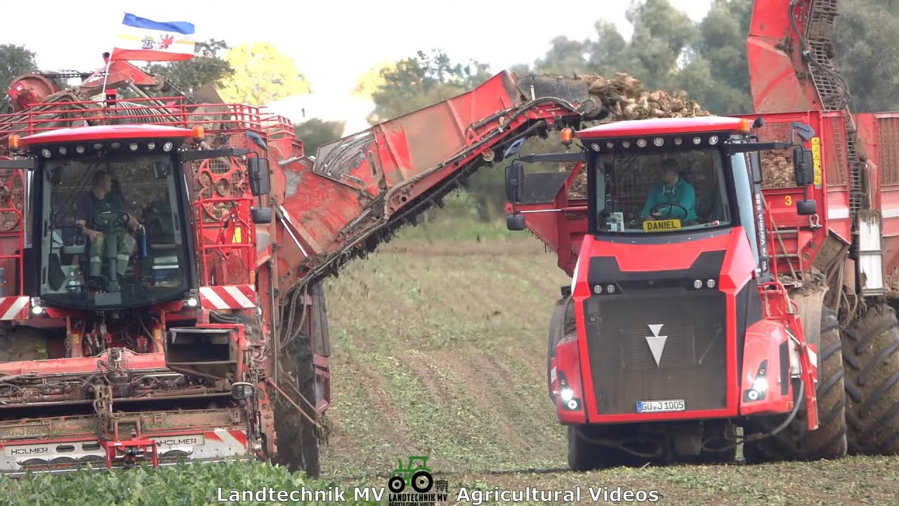 100% Holmer / Rübenernte - Harvesting Beets   2021