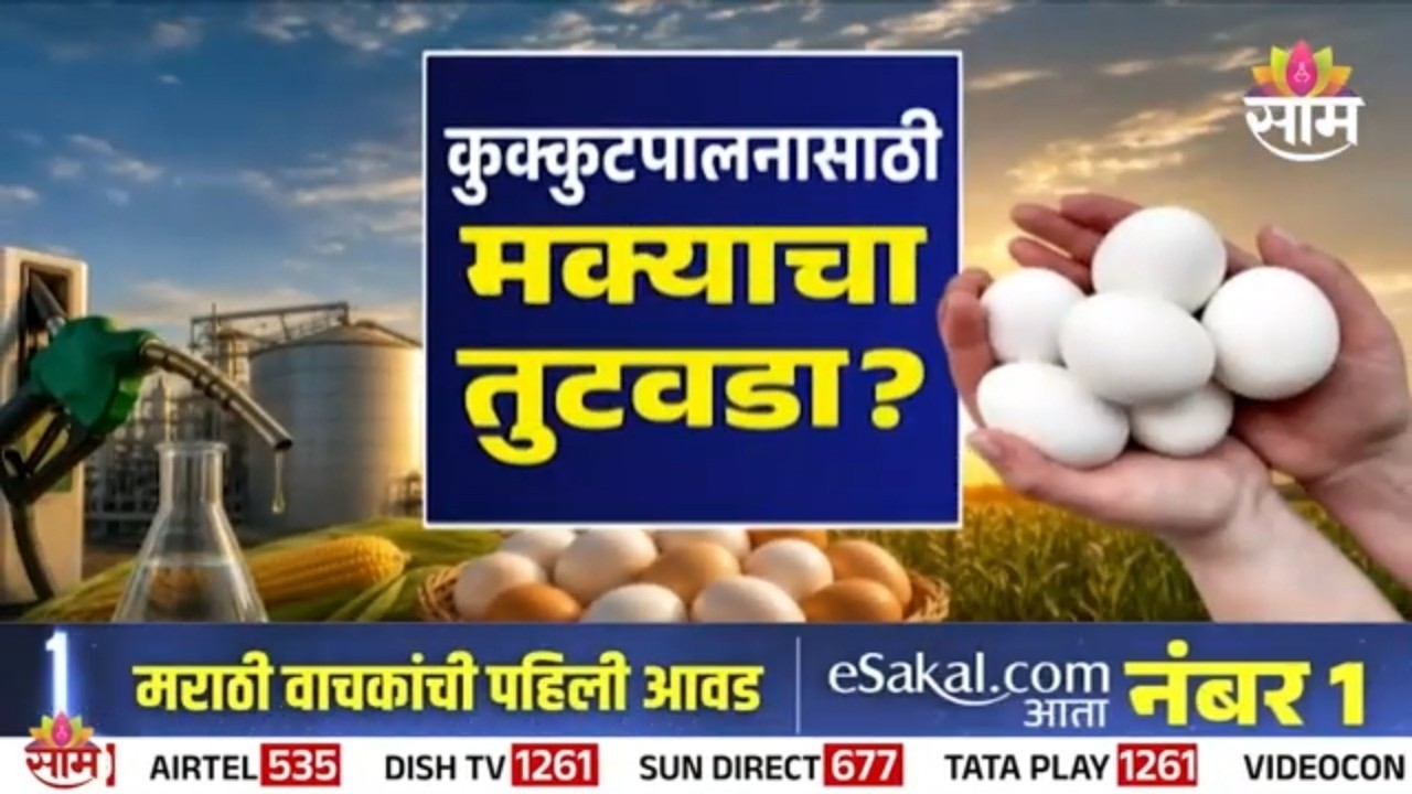 Special Report | इथेनॉलमुळे अंडी महागली? | Egg Prices