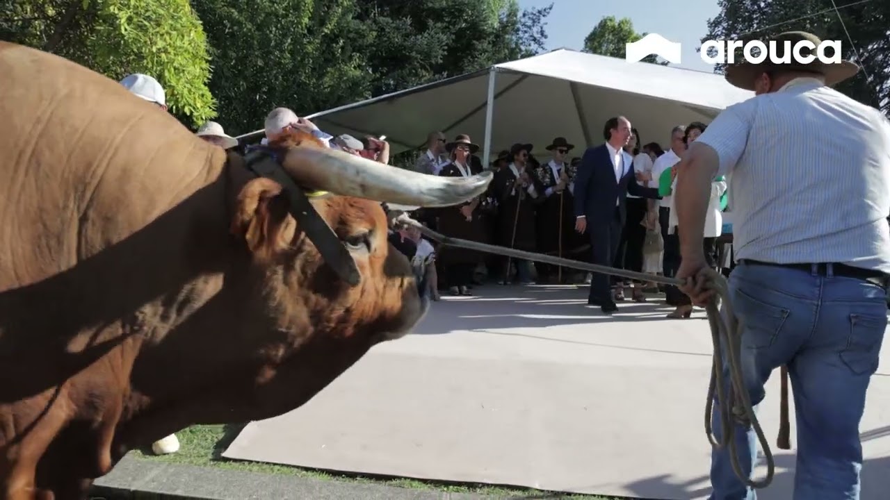 Desfile de gado e entrega de prémios