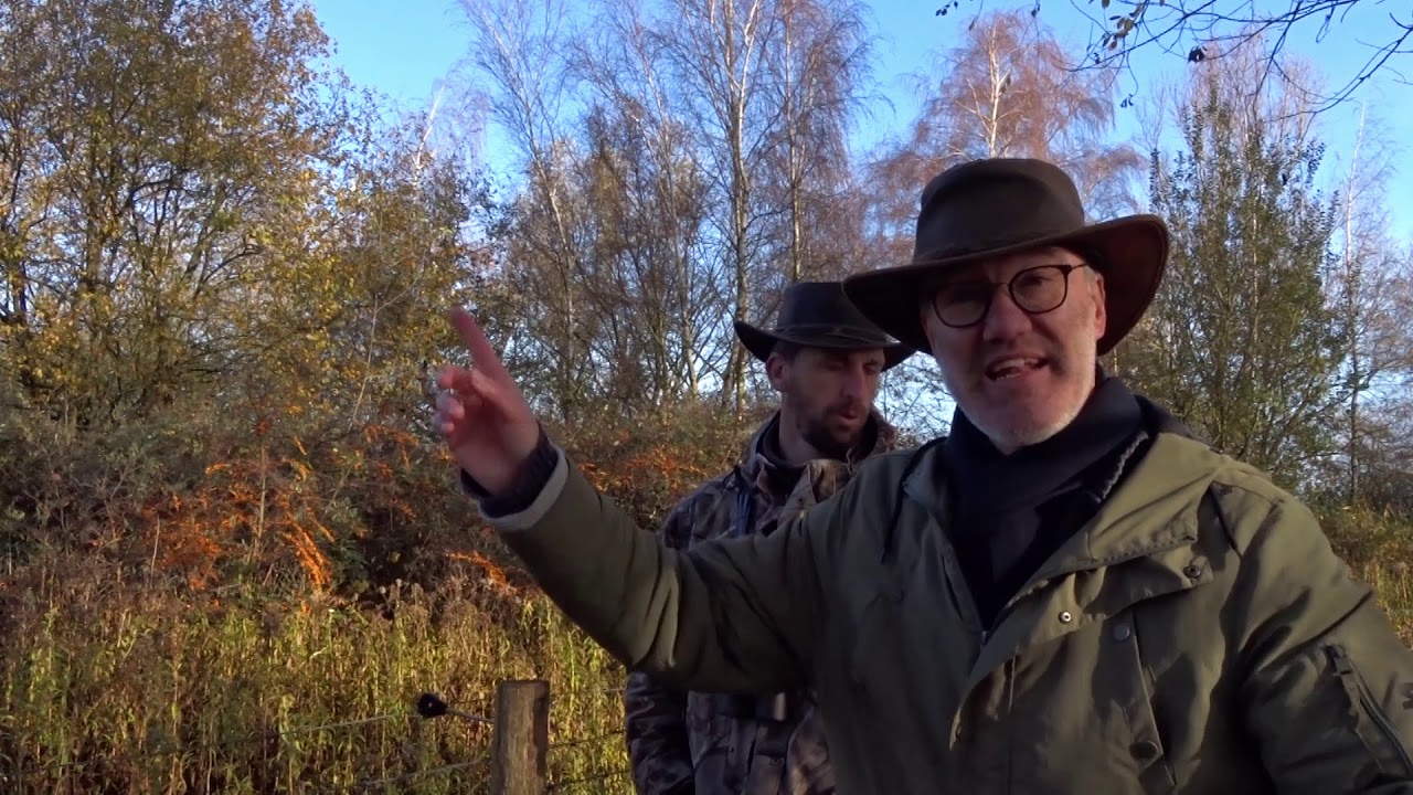 Vlog  N° 196 Goudvinken lichten prachtig op in een berk / Bullfinch