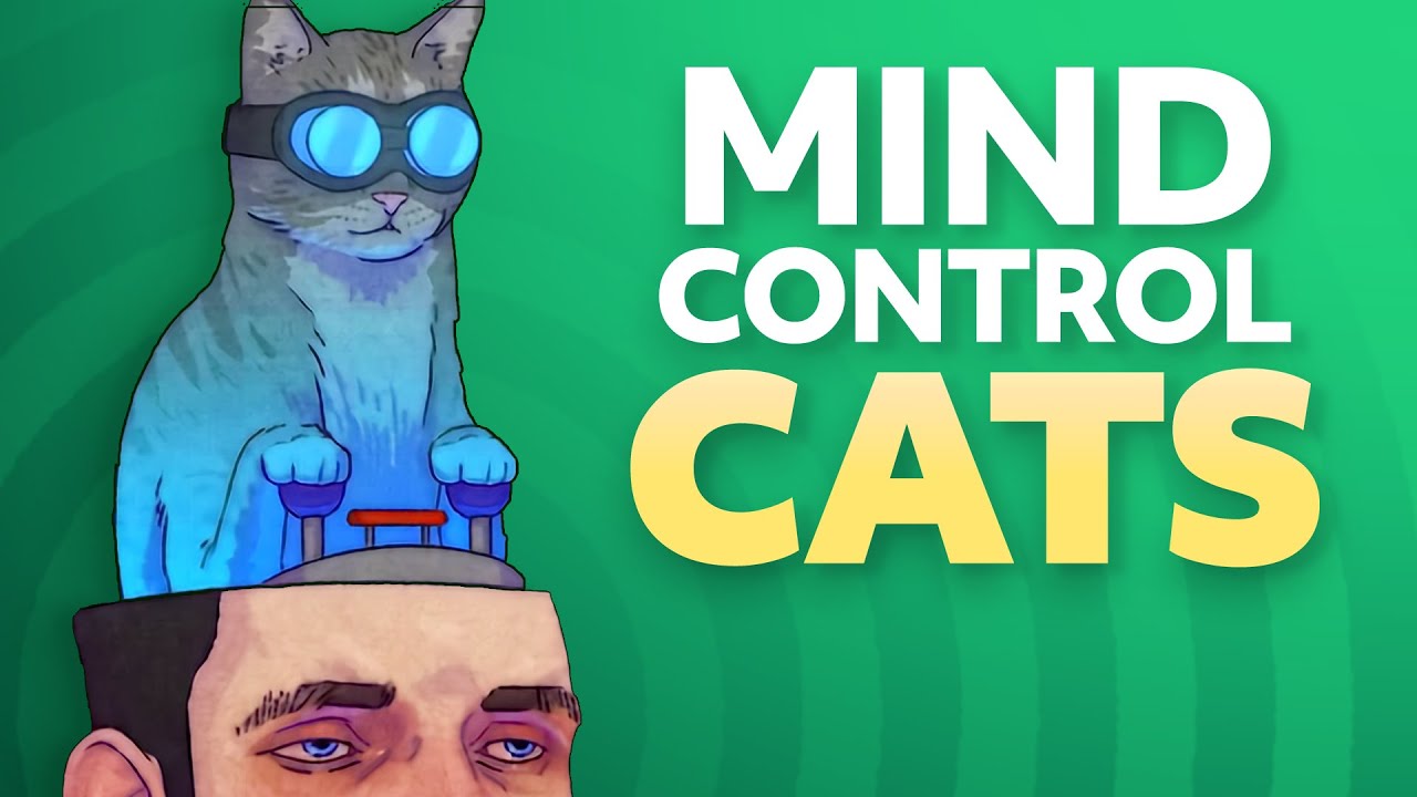How cats manipulate your brain with parasites