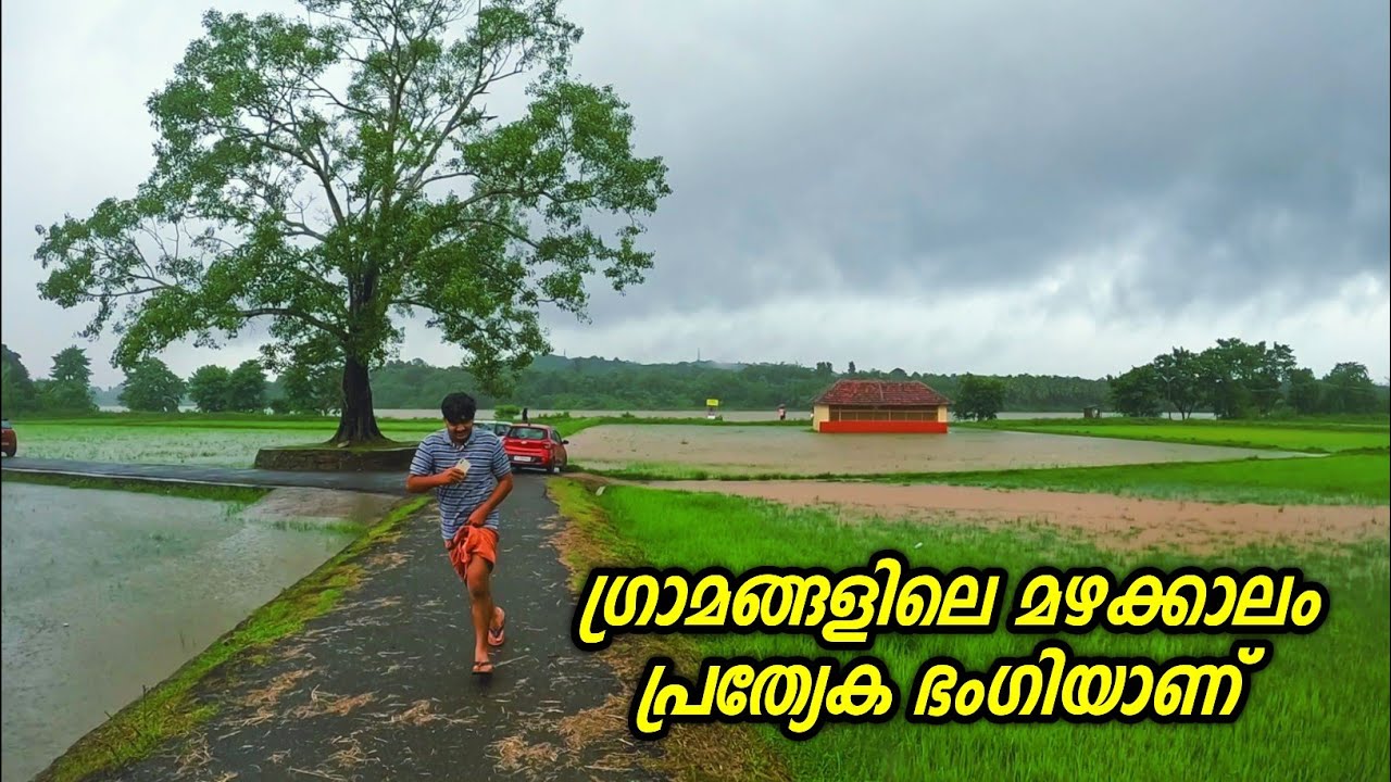 ഈ ഗ്രാമങ്ങളിലെ മഴക്കാലത്തിന് പ്രത്യേക ഭംഗിയാണ് | A walk through the village in the rain