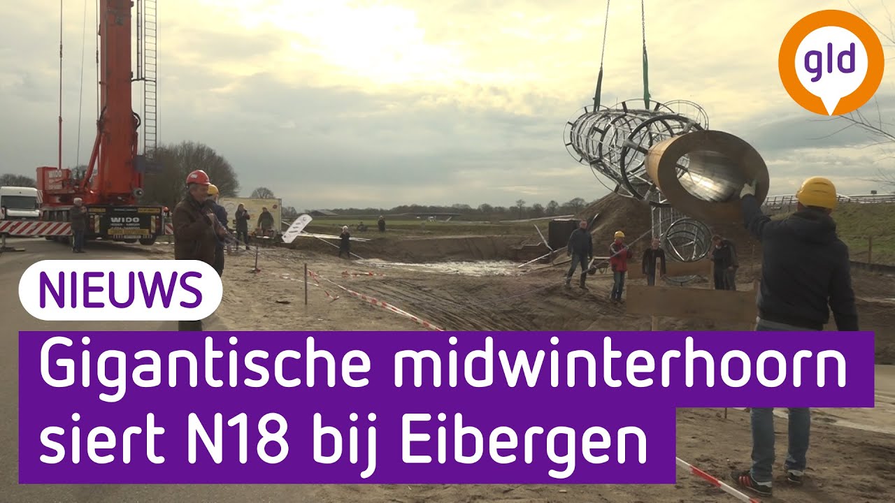Enorme midwinterhoorn in Eibergen staat