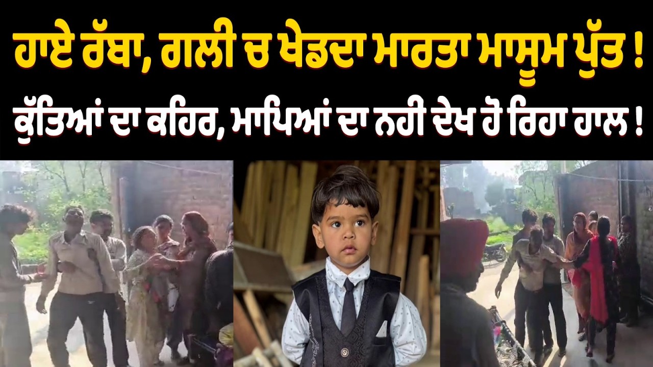 ਗੇਟ ’ਤੇ ਖੇਡਦਾ ਮਾ/ਰ/ਤਾ ਮਾਸੂਮ ਪੁੱਤ, ਕੁੱਤਿਆਂ ਦਾ ਕਹਿਰ, ਮਾਪਿਆਂ ਦਾ ਨਹੀਂ ਦੇਖ ਹੋ ਰਿਹਾ ਹਾਲ !