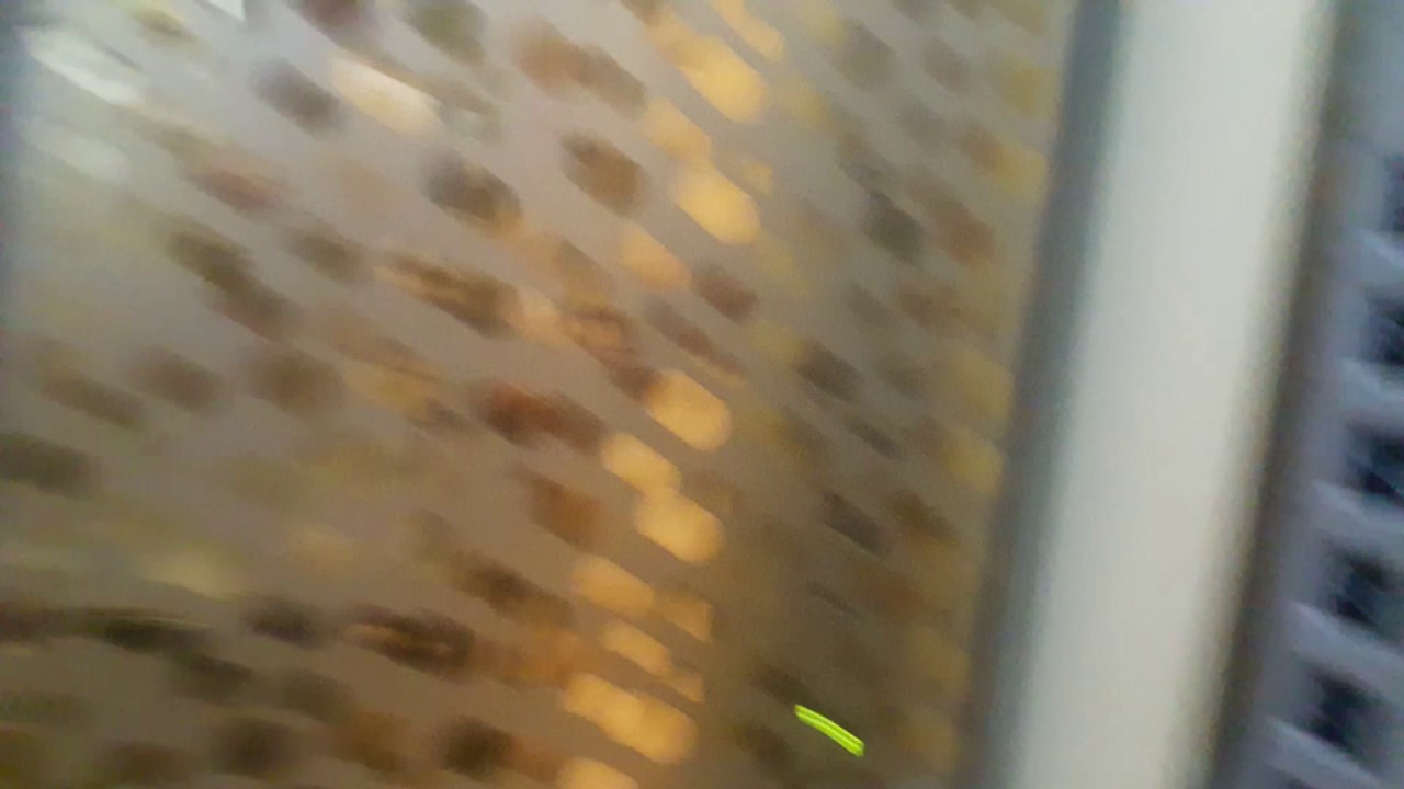 太平洋SOGO百貨高雄店中型電梯(5)