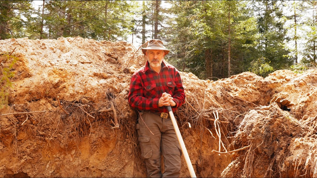 Digging a basement for my log cabin, Salamanders