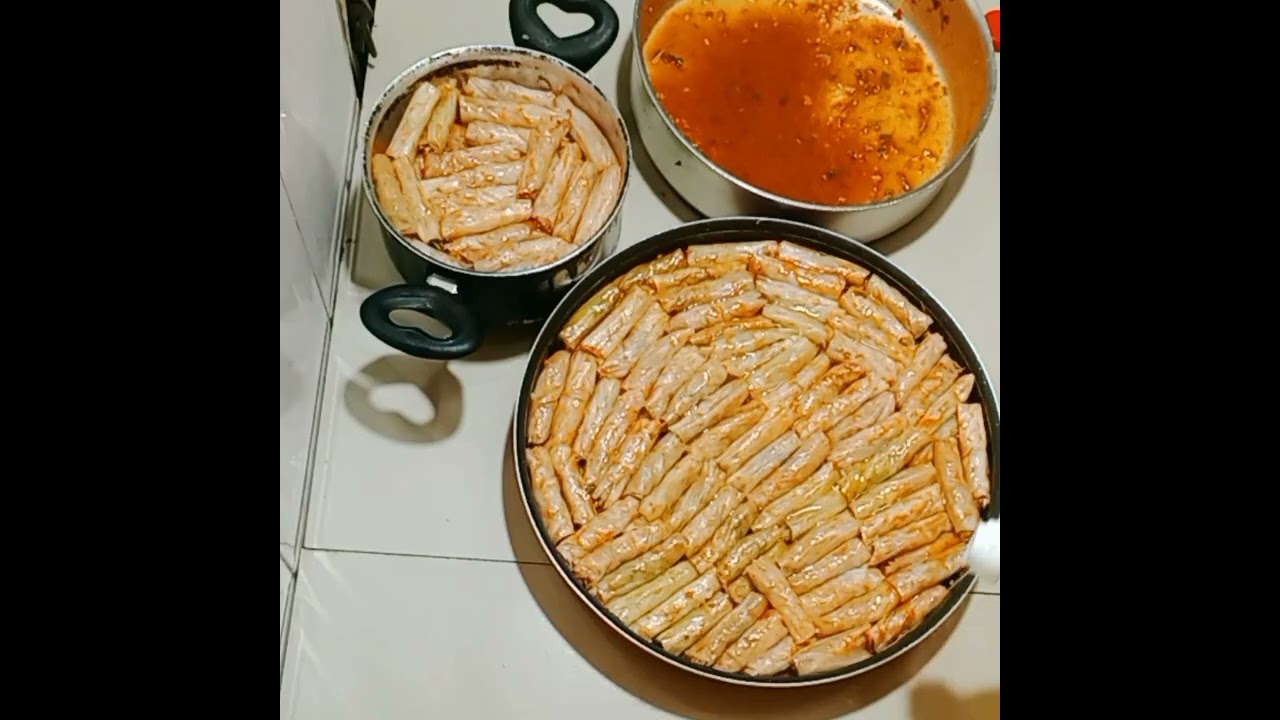 طريقه عمل المحشي ني في ني