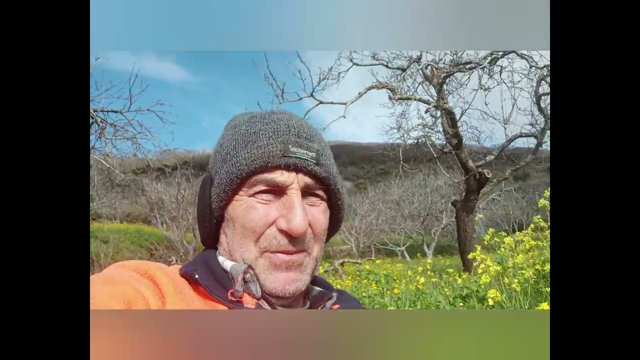 SEGUIMOS CON VIENTOS DEL NOROESTE Y NUBES ⛅😶‍🌫️💨💨⚠️
