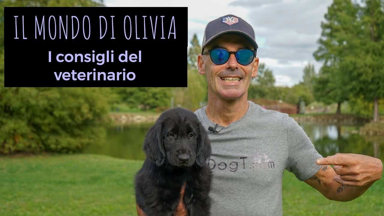 I consigli del veterinario, Il mondo di Olivia