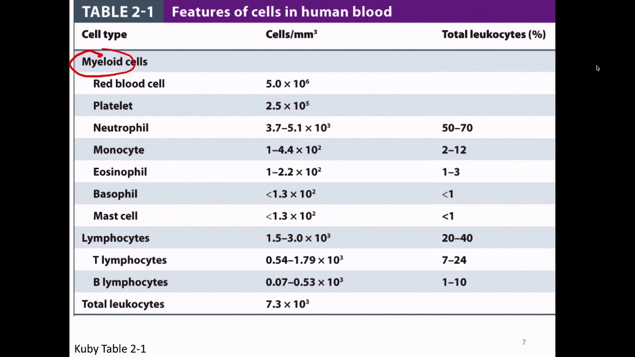 Immunology Fall 2019 Lecture 2- Cells and Organs of the Immune System