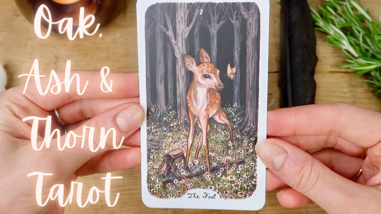 OAK ASH & THORN TAROT BY STEPHANIE BURROWS | WALKTHROUGH, FIRST IMPRESSIONS & SAMPLE READING