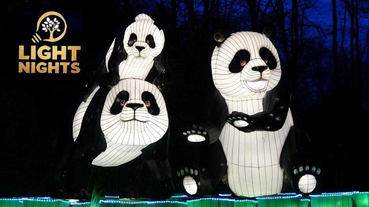 Light Nights Magic Forest Ouwehands Dierenpark 2022