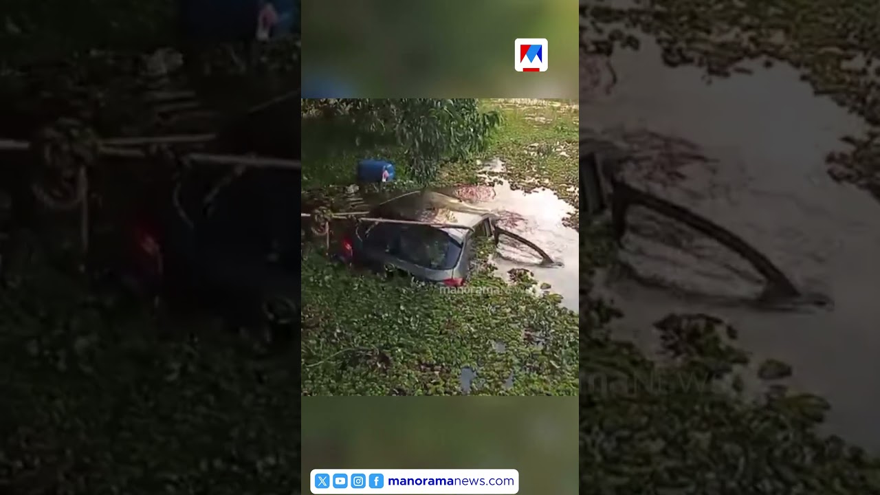 Youth dies after car loses control and falls into ravine in Kottayam | Kottayam