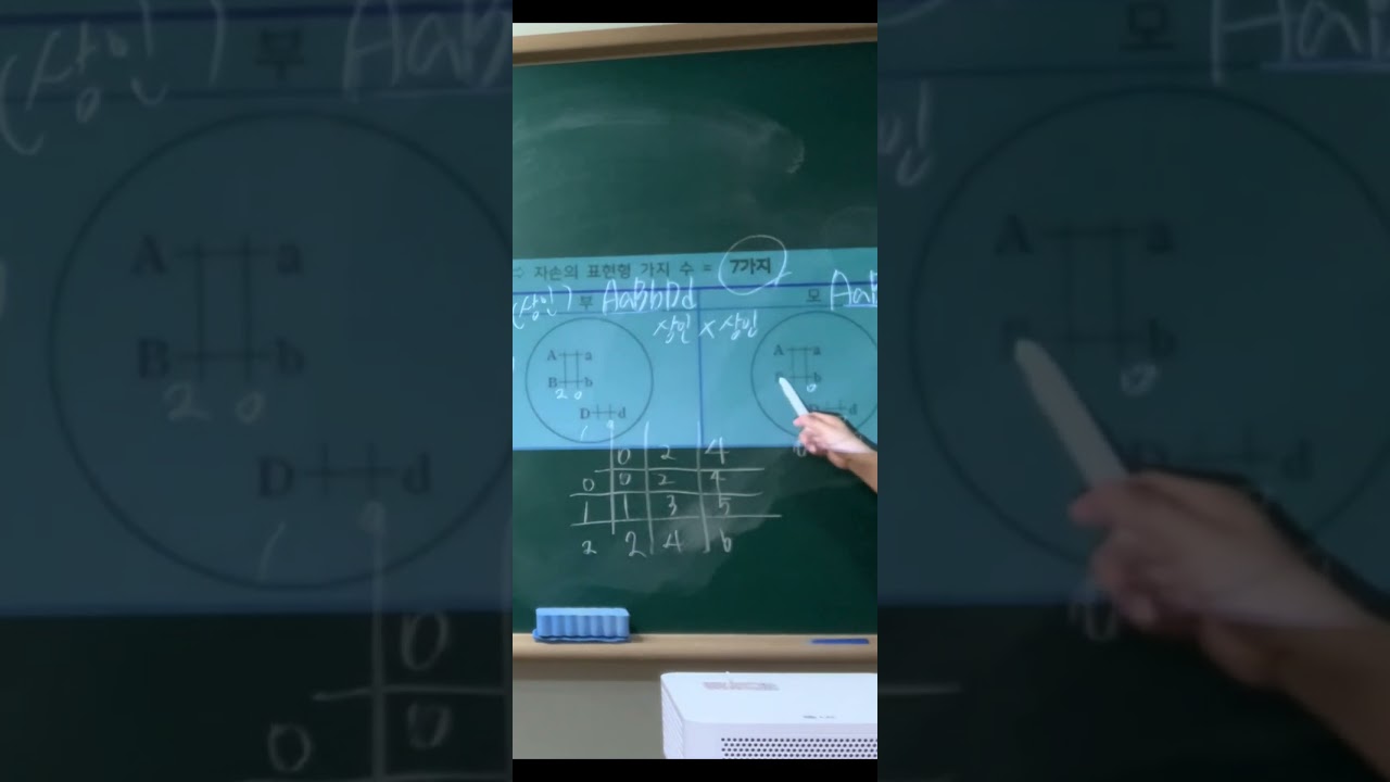 생명1  다인자 유전 상인 상인 연관 대문자수에의한 표현형 가지수 확률계산방법