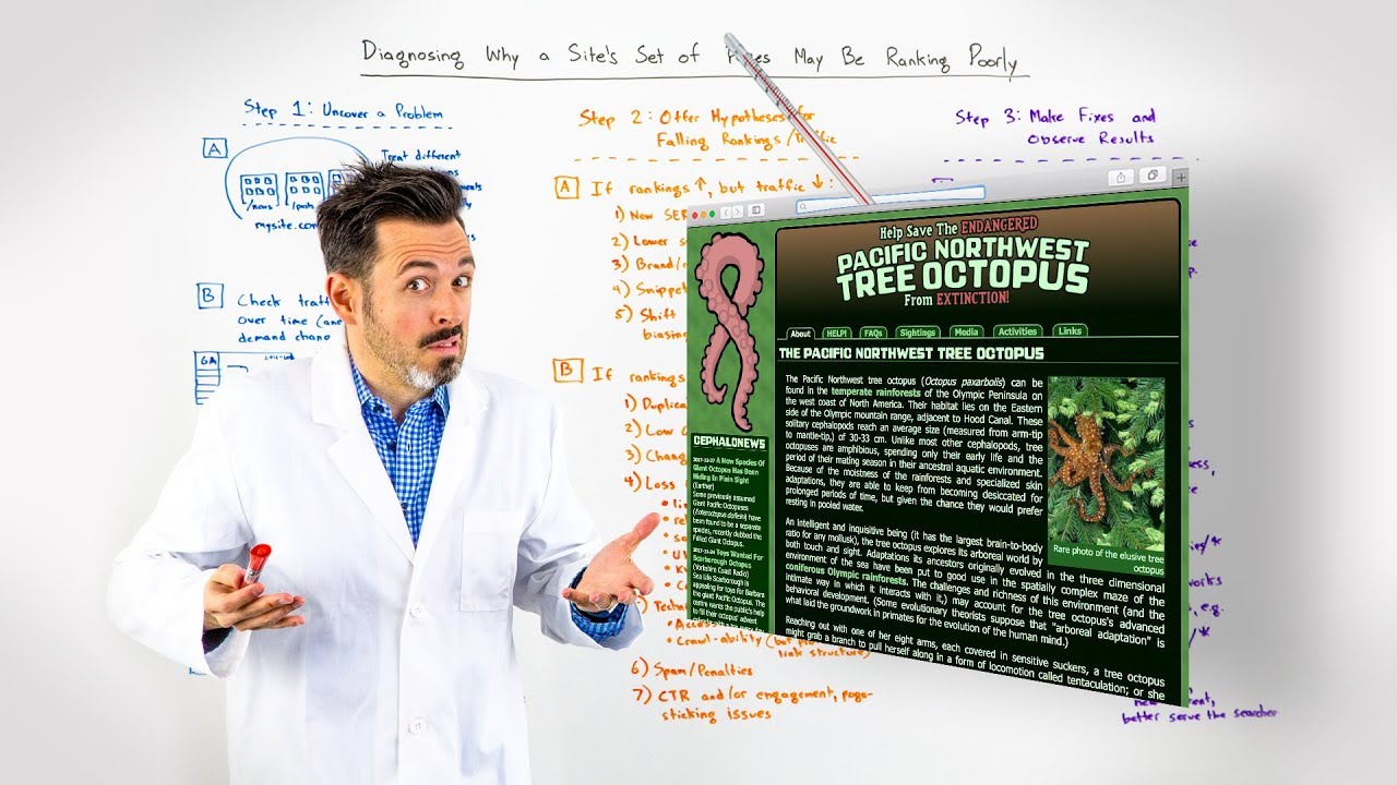 Diagnosing Why a Site's Set of Pages May Be Ranking Poorly - Whiteboard Friday