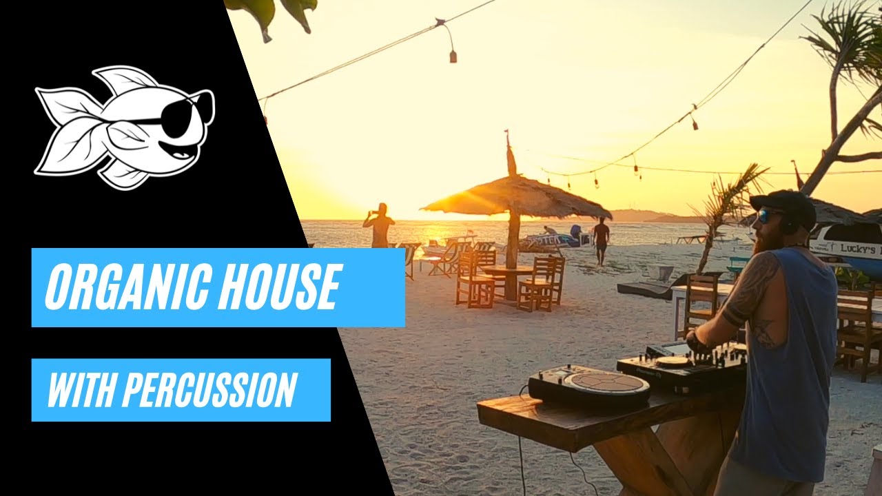 Organic House Sunset DJ Mix with Live Drumming | Fishplant @ Lucky's Bar, Gili Air