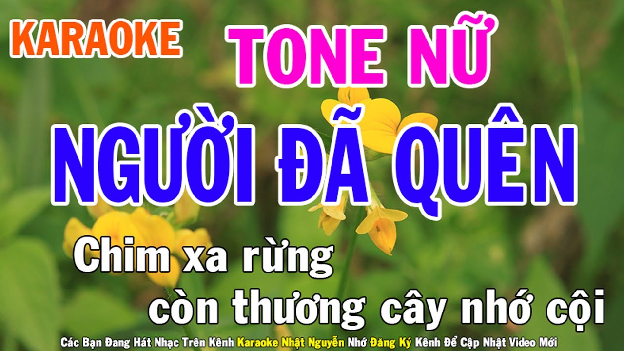 Người Đã Quên Karaoke Tone Nữ Nhạc Sống - Phối Mới Dễ Hát - Nhật Nguyễn