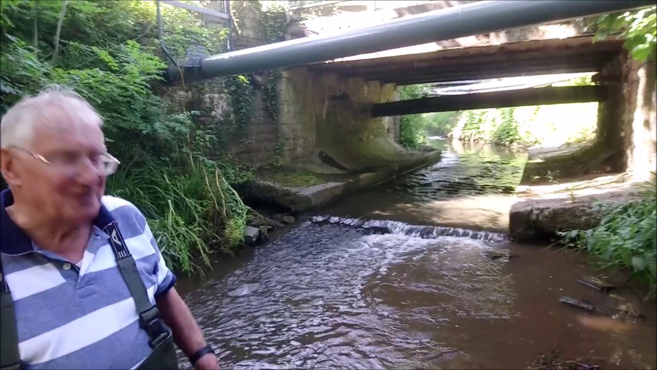 Cadoxton River Survey 31 July 2019