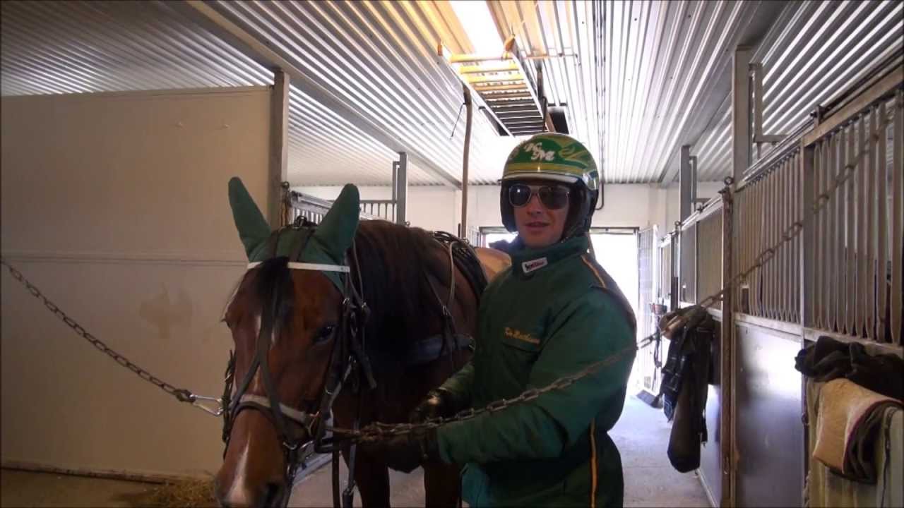 Travtrener Kim Mathisen - Biri Travbane