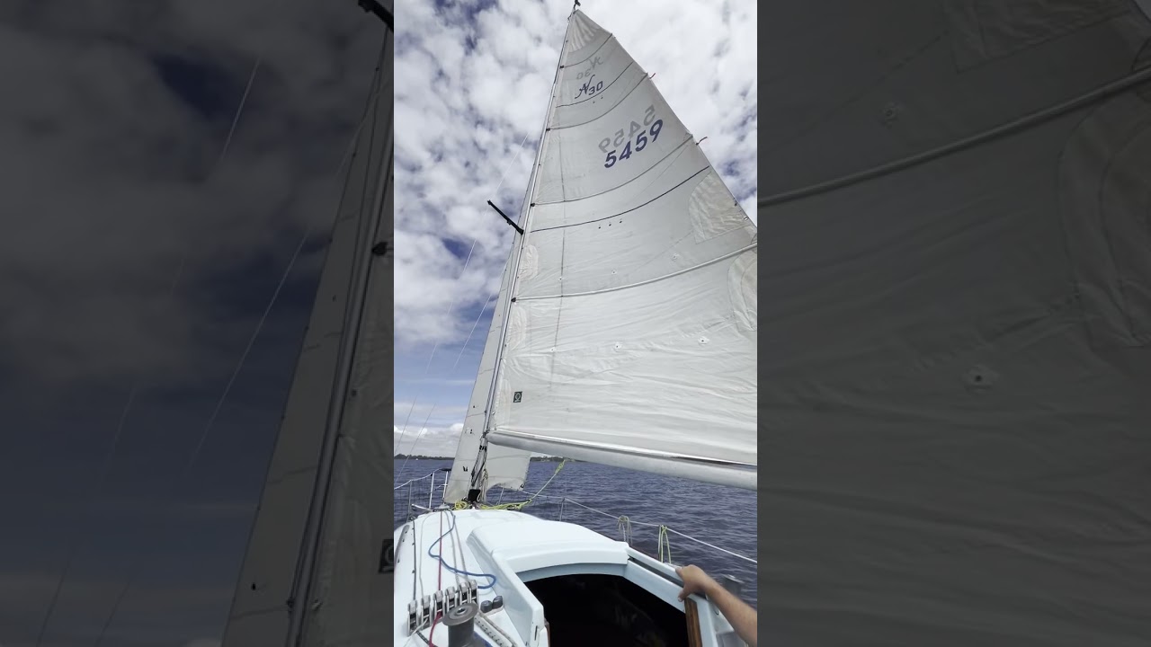 Noelex 30 cruising