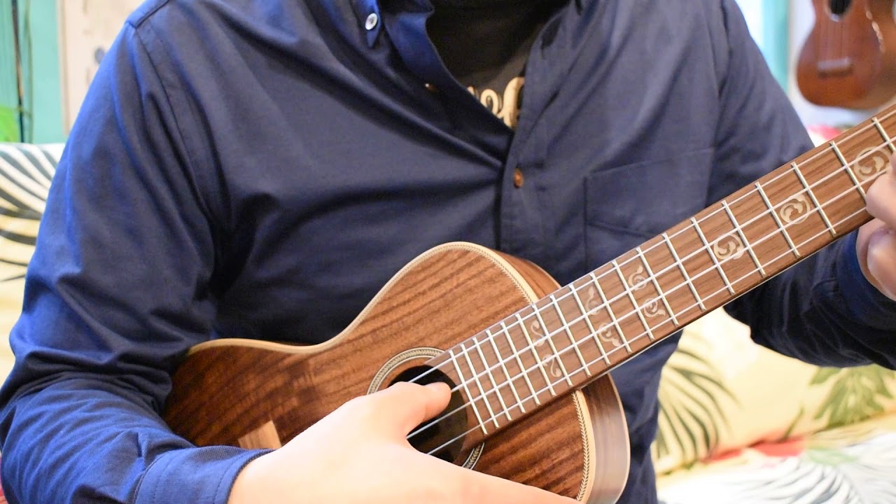 NEW/KALA KA-SA-C Concert@ukuleleshoptantan