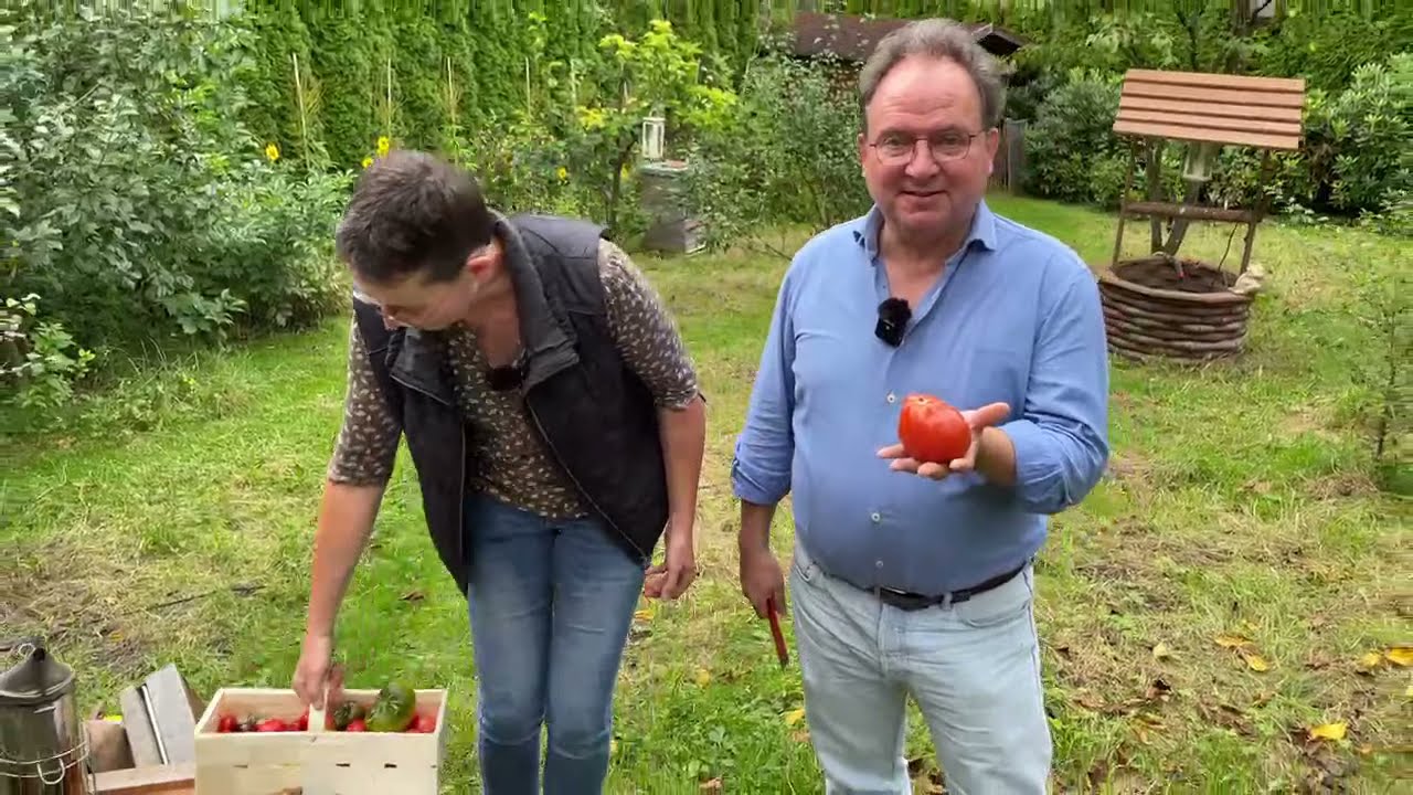 Live von Pias Bienenstand 14.9.21