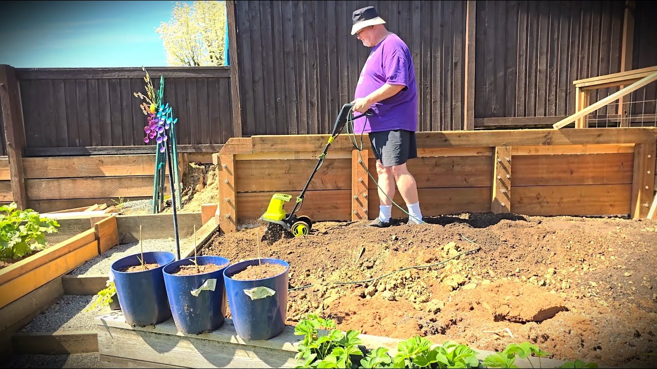 VLOG #530 - Dia de domingo