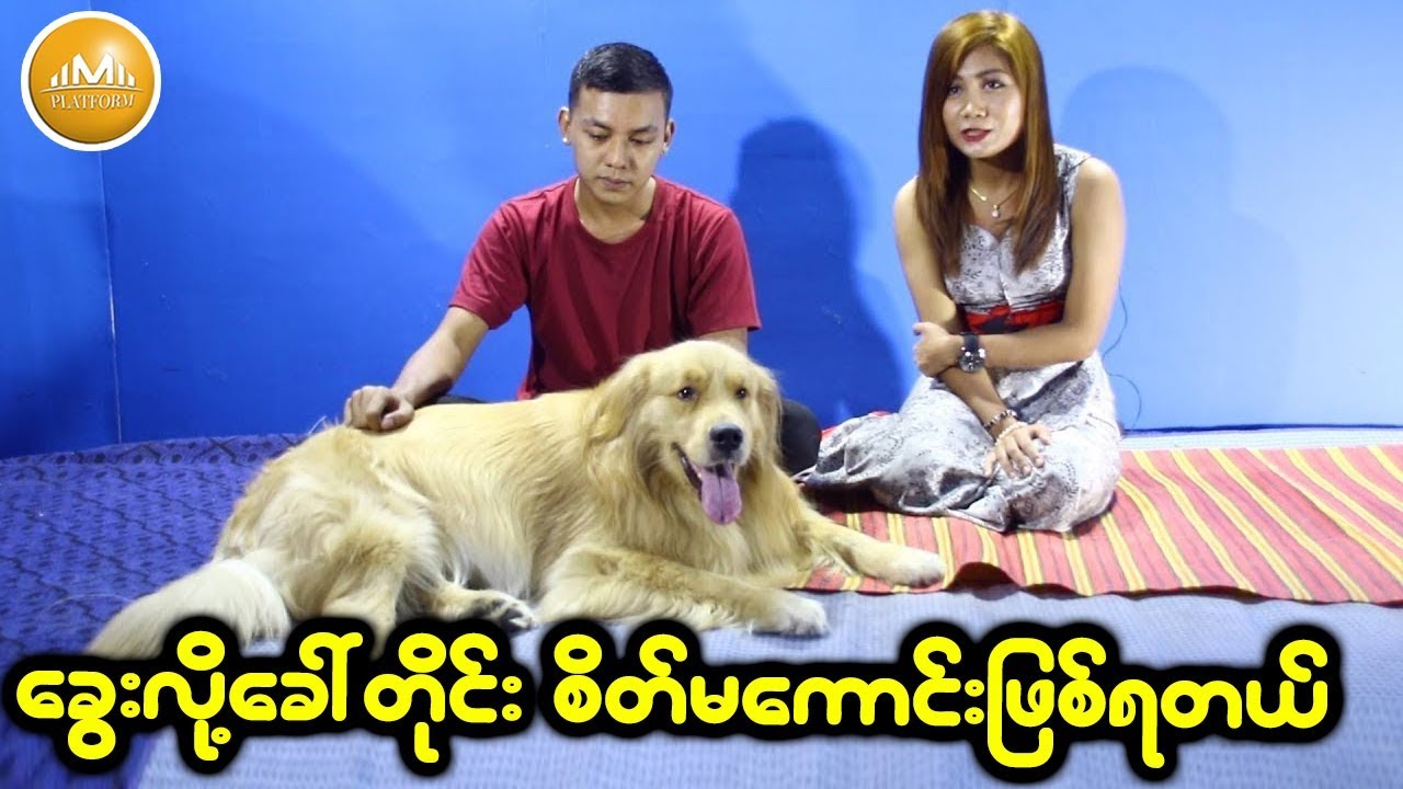 အမွန္တရားက ခါးပါတယ္..ေခြးဆိုတာ မွန္ေပမယ့္ ေခြးလို႕ေခၚတိုင္းစိတ္မေကာင္းျဖစ္ရတယ္