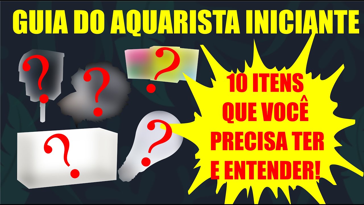 🔴GUIA do AQUARISTA INICIANTE ( 10 itens que VOCÊ PRECISA TER )