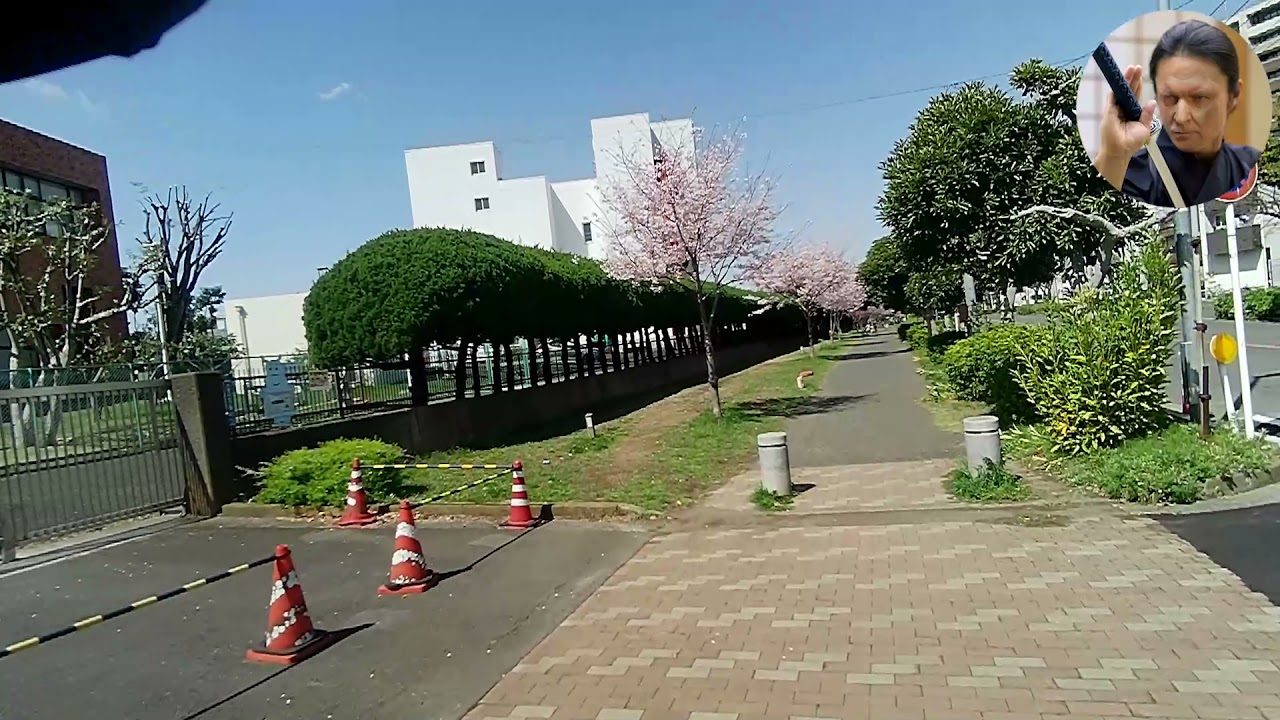 Spring in Yokohama (2)